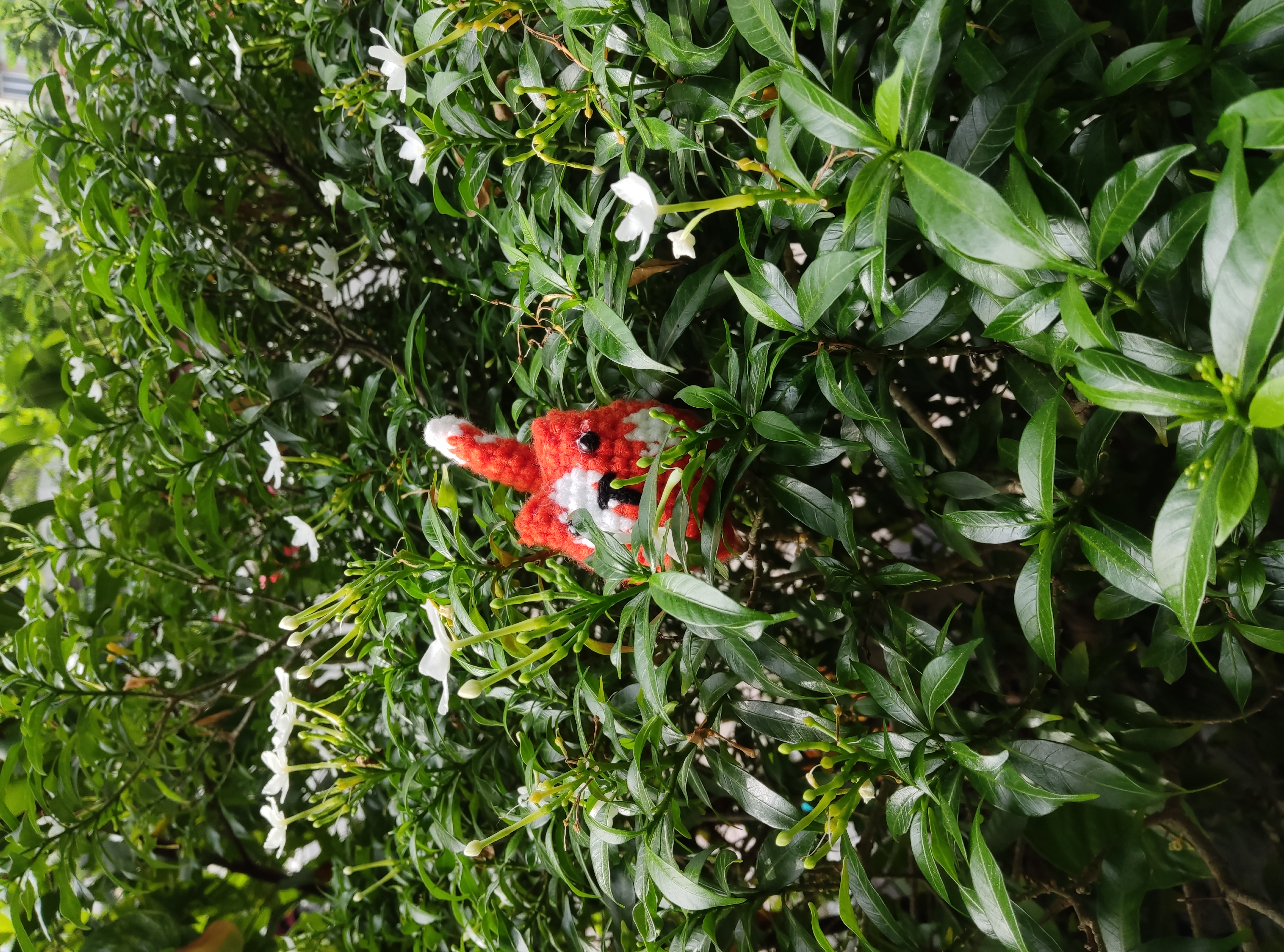 Tái Phùng Xuân