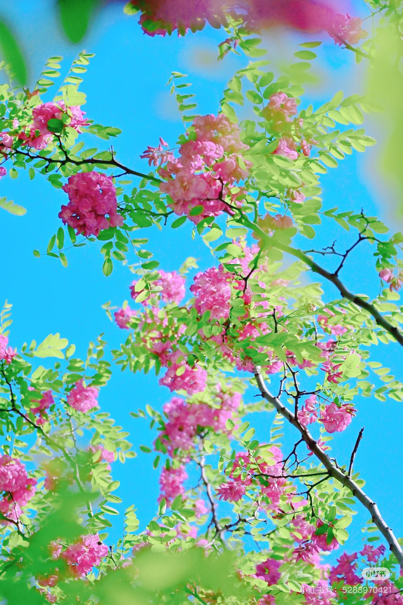 Từ Số Không, Tôi Tự Viết Lại Cuộc Đời